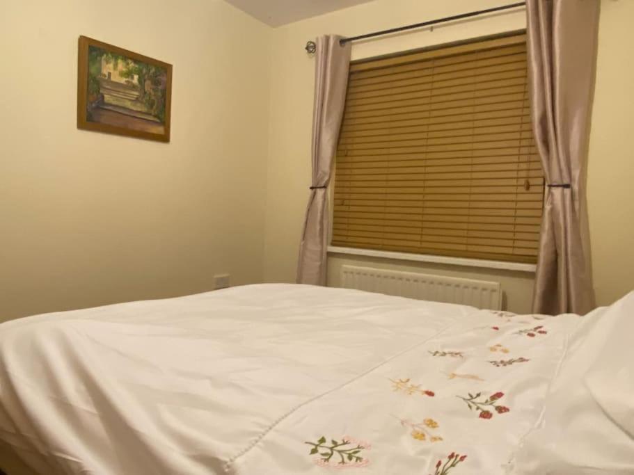 Walnut Apartment Larne Dış mekan fotoğraf